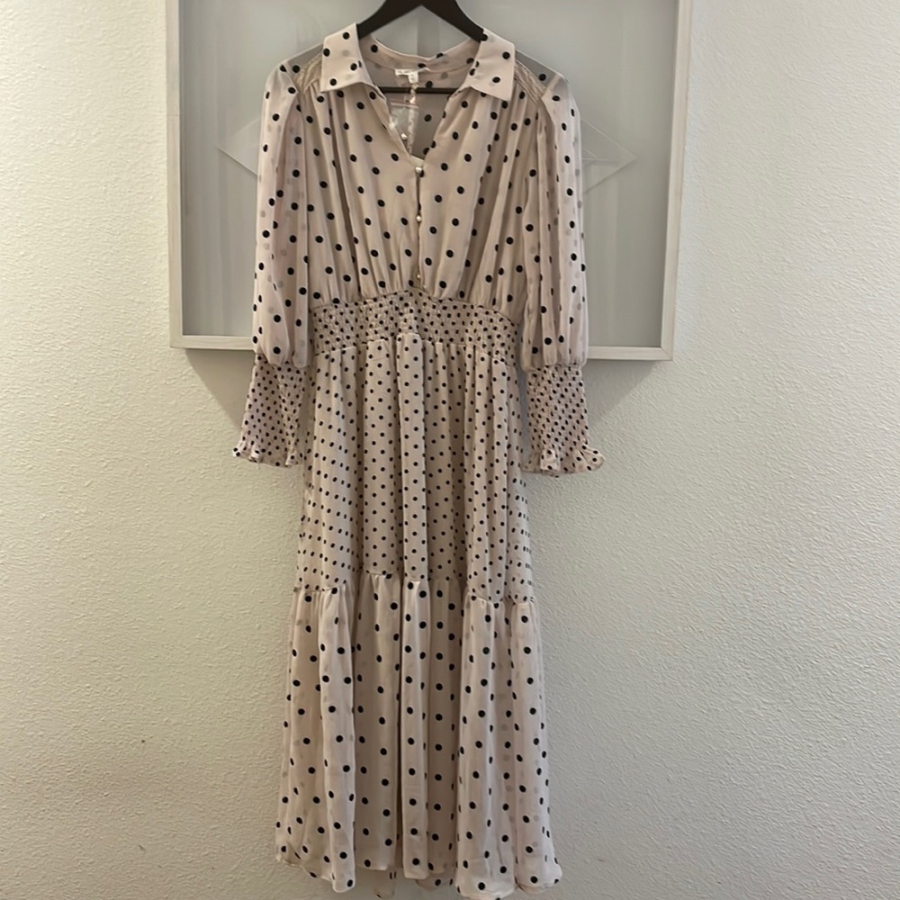🪞🏞 sheer By the river poka dot dress🪞 - Picture 2 of 10